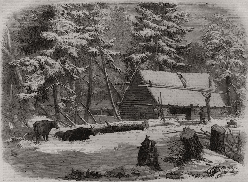 Lumbering in New Brunswick - lumberman's camp house. Canada 1858 old print